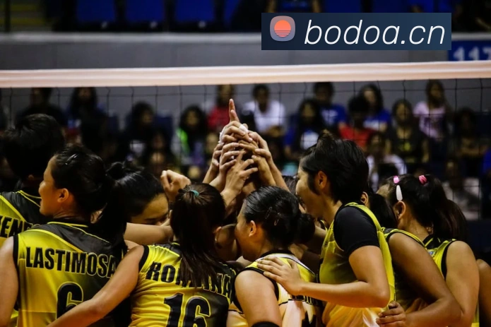 App Interface Preview